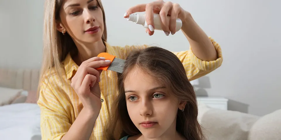 Do Lice Like Clean Or Dirty Hair? Let's See